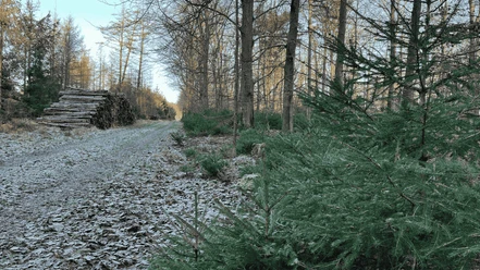 Frøslev Polde-stien GDK-billeder 1024x576