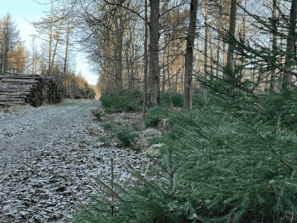 Frøslev Polde-stien GDK-billeder 1024x576