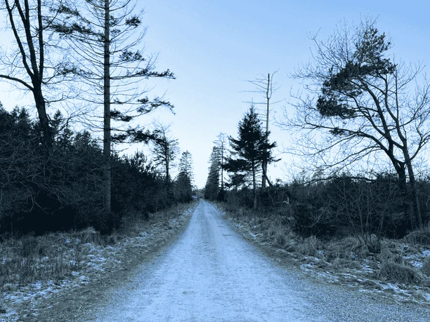 Frøslev Polde-stien GDK-billeder 1024x576