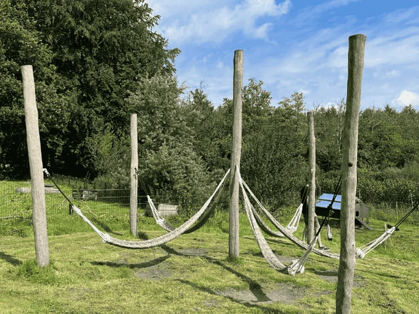 Kelstrup Plantage - Hængekøje - VisitAabenraa GDK-billeder 1024x576 ) Kelstrup Plantage - Hængekøje - VisitAabenraa GDK-billeder 1024x576 )