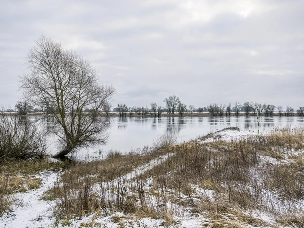Elbvorland bei Heisterbusch im Winter Elbvorland bei Heisterbusch im Winter