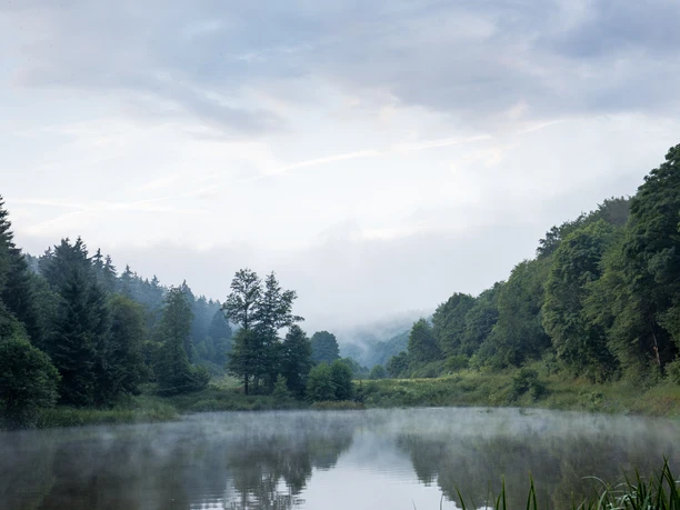 Bärenfichtenweiher Bärenfichtenweiher