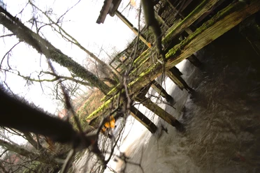 Soderstorf Mühle Ein moosbewachsener Steg führt über einen fließenden Bach, umgeben von kahlen Ästen und winterlicher Natur.