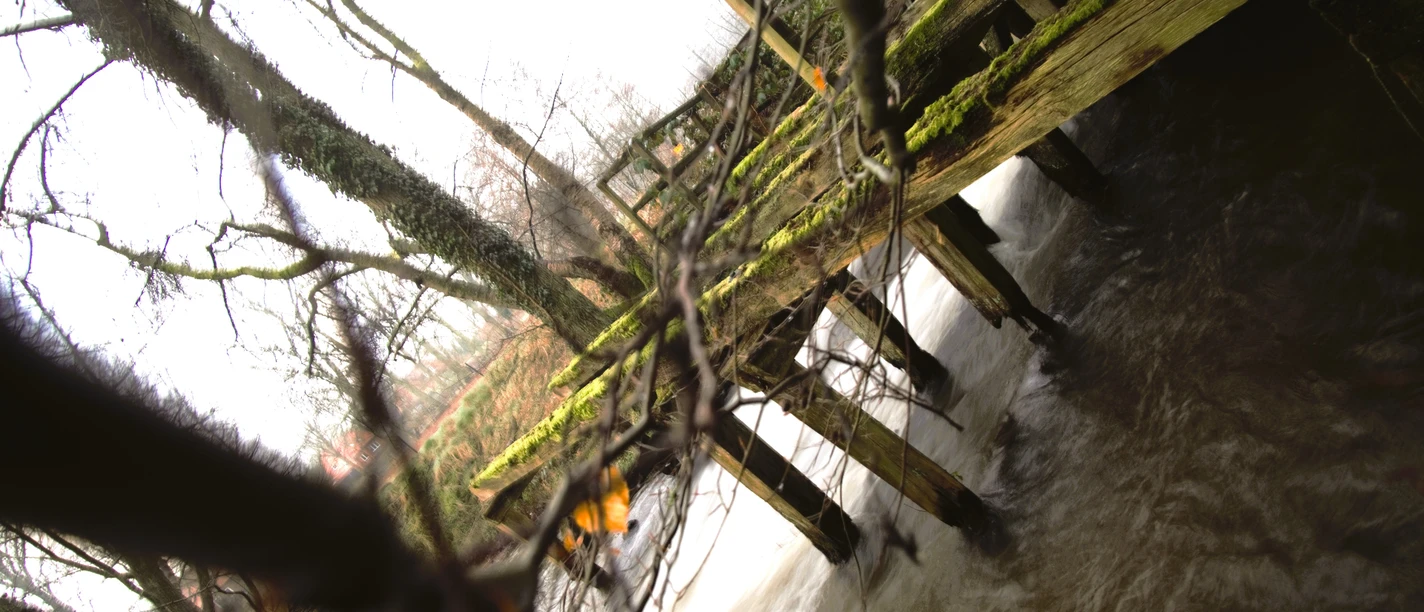 Soderstorf Mühle Ein moosbewachsener Steg führt über einen fließenden Bach, umgeben von kahlen Ästen und winterlicher Natur.