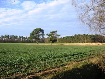 Helmsbostel bei Hohne Helmsbostel bei Hohne