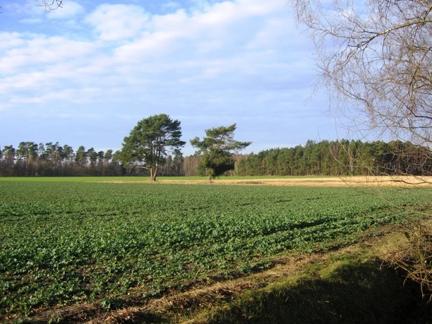 Helmsbostel bei Hohne Helmsbostel bei Hohne