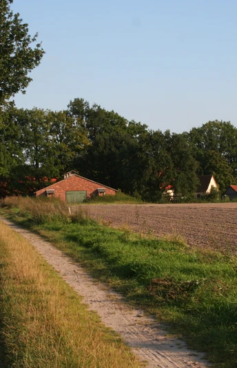 Ehemaliger Totenweg bei Hohne Ehemaliger Totenweg bei Hohne