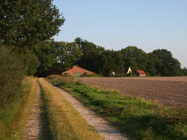 Ehemaliger Totenweg bei Hohne Ehemaliger Totenweg bei Hohne