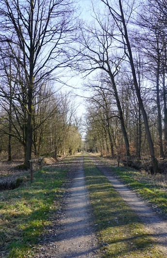 Durch die Müsse Müsse-Umfuhrdamm von Helmerkamp Richtung Süden