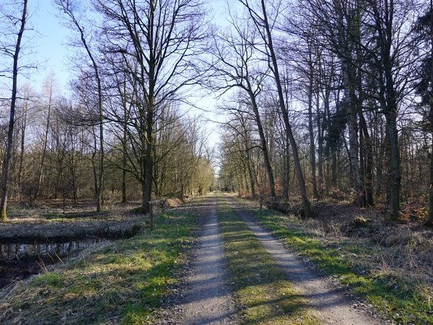 Durch die Müsse Müsse-Umfuhrdamm von Helmerkamp Richtung Süden