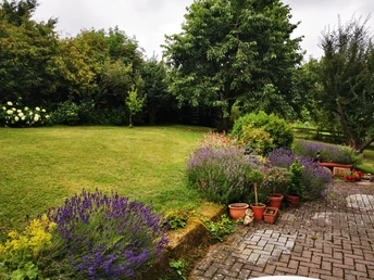 Garten_©Norbert Braun.jpg