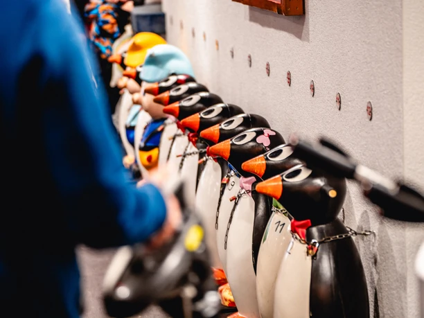 Laufhilfen Eislaufhalle Baiersbronn