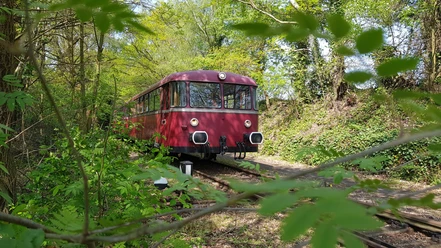 Roter Triebwagen fährt durch grünen, bewaldeten Abschnitt einer Museumsbahnstrecke im Frühling.