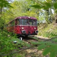 Museumsbahn MRU Roter Triebwagen fährt durch grünen, bewaldeten Abschnitt einer Museumsbahnstrecke im Frühling.