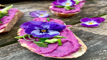 Waldkräuterey Ein Baguette mit einer leuchtend violetten Aufstrichcreme, garniert mit essbaren Blüten und Schnittlauch.