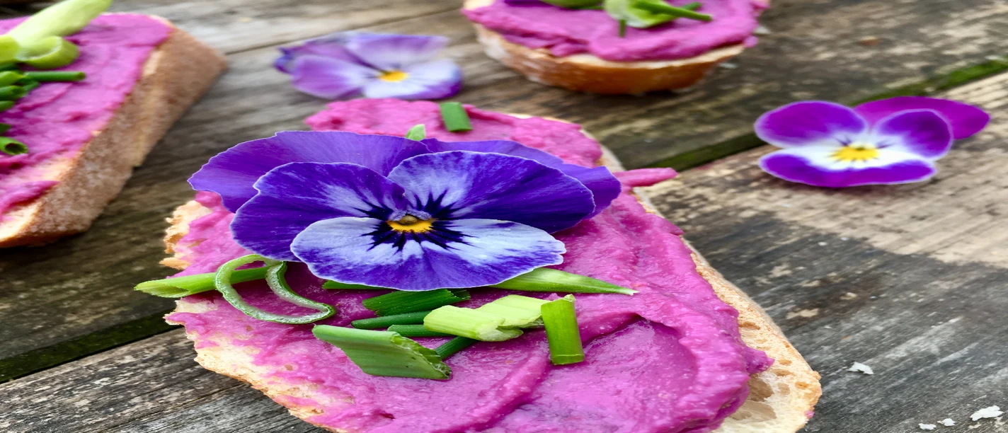 Waldkräuterey Ein Baguette mit einer leuchtend violetten Aufstrichcreme, garniert mit essbaren Blüten und Schnittlauch.