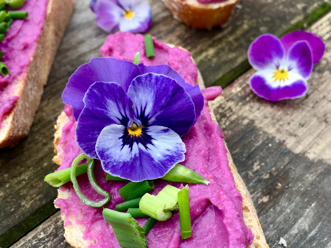 Waldkräuterey Ein Baguette mit einer leuchtend violetten Aufstrichcreme, garniert mit essbaren Blüten und Schnittlauch.
