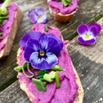 Waldkräuterey Ein Baguette mit einer leuchtend violetten Aufstrichcreme, garniert mit essbaren Blüten und Schnittlauch.