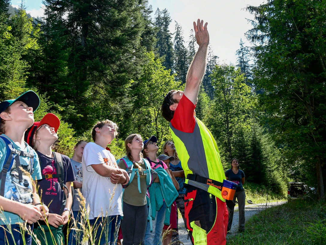 Journée en forêt dans le parc naturel Diemtigtal Schulklasse steht mit Förster im Wald, alle Blicken in die HöheSchool class with forester in the forest, all looking upwardsClasse d'école dans la forêt avec le garde forestier, tous les regards en l'air