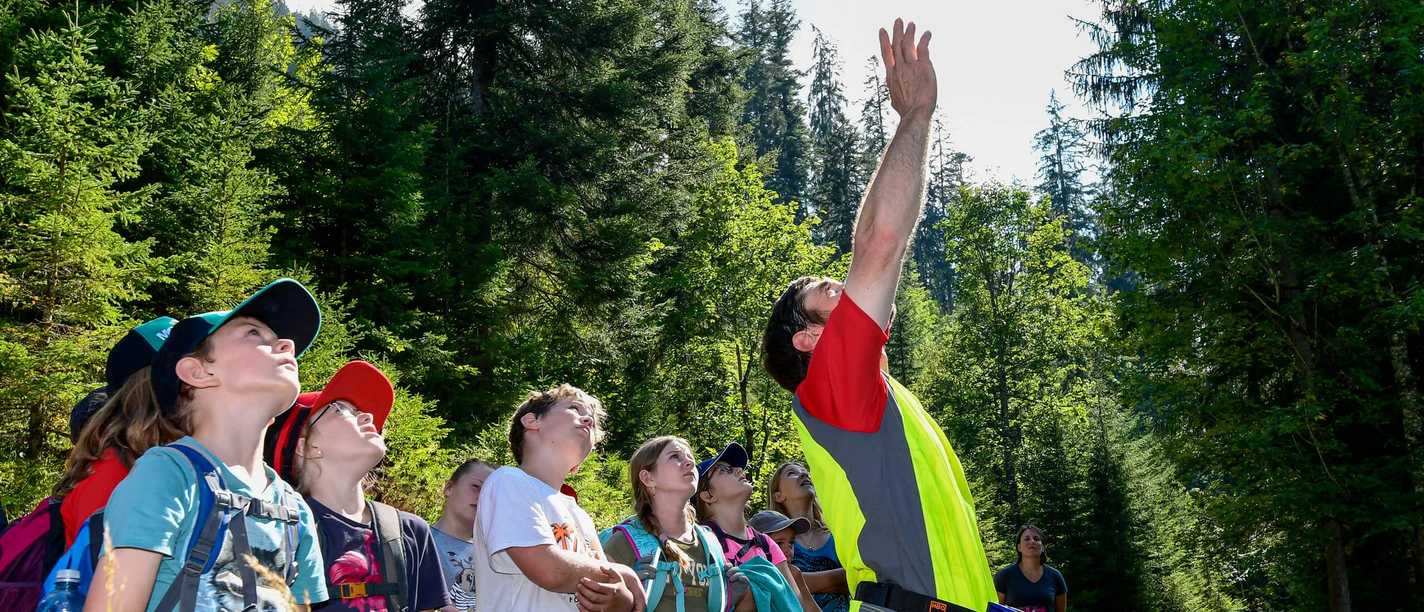 Waldtag im Naturpark Diemtigtal Schulklasse steht mit Förster im Wald, alle Blicken in die Höhe