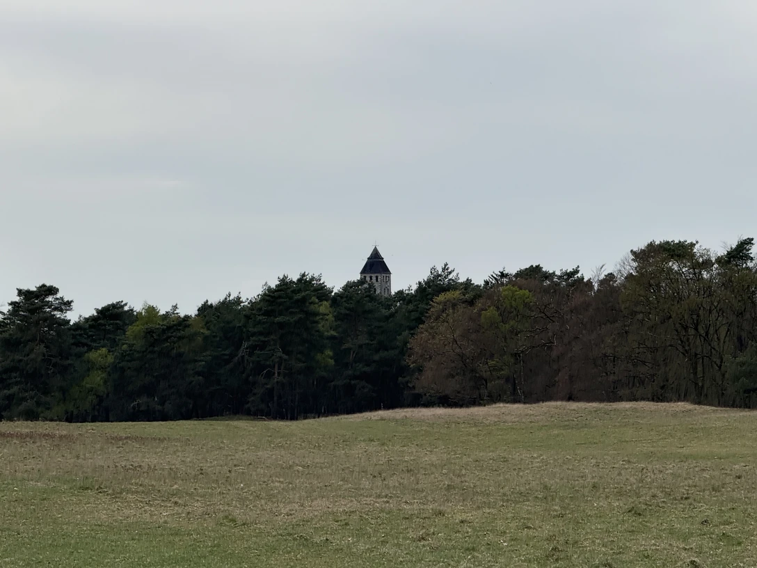 Der Haustenbecker Turm ragt über einen dichten Wald, umgeben von einer weiten Wiesenlandschaft.