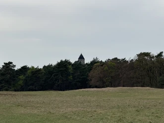 Haustenbecker Turm Der Haustenbecker Turm ragt über einen dichten Wald, umgeben von einer weiten Wiesenlandschaft.