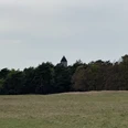 Haustenbecker Turm Der Haustenbecker Turm ragt über einen dichten Wald, umgeben von einer weiten Wiesenlandschaft.