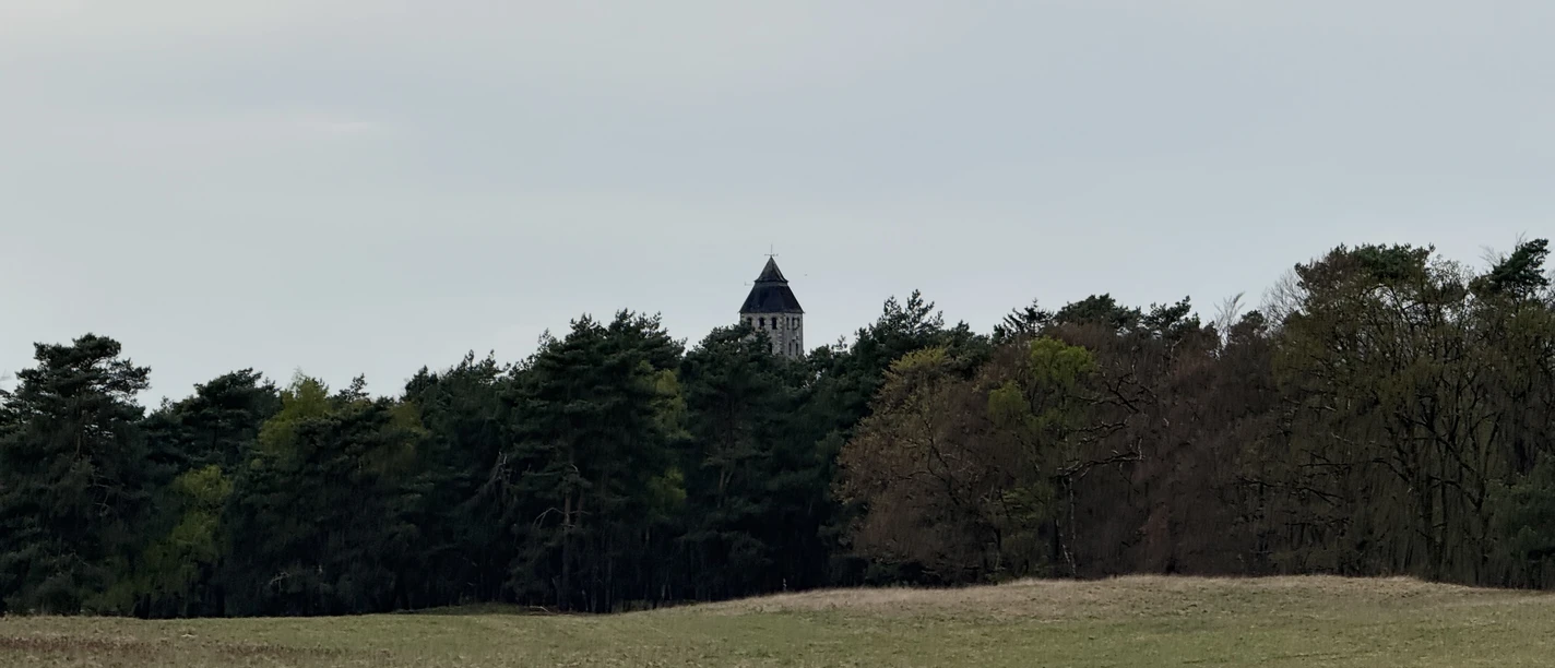 Haustenbecker Turm Der Haustenbecker Turm ragt über einen dichten Wald, umgeben von einer weiten Wiesenlandschaft.