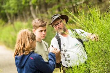 Familientour mit Waldführer