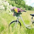 Fahrrad mit Blumen