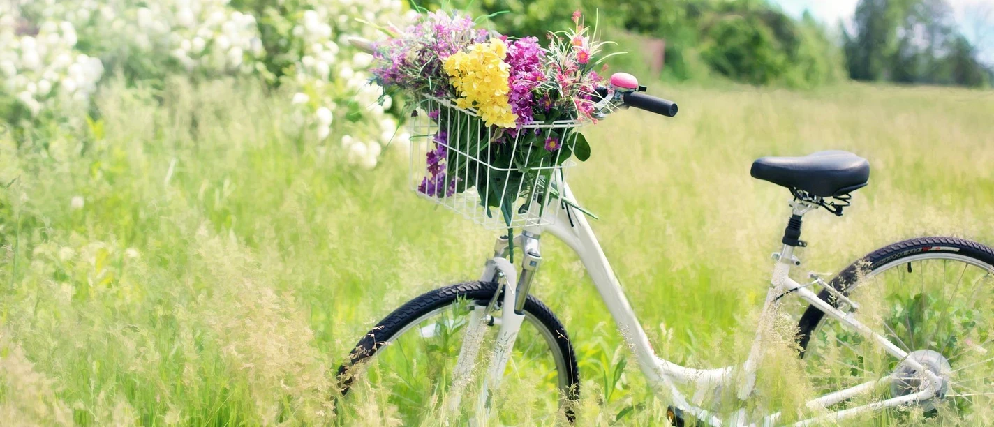 Fahrrad mit Blumen