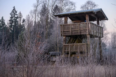 Aussichtsturm im Becklinger Moor Aussichtsturm im Becklinger Moor im Winter