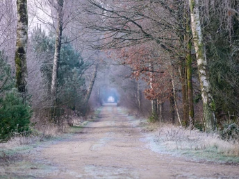 Das Becklinger Moor bei Bergen im Winter Das Becklinger Moor bei Bergen im Winter