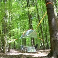 Baumzelt im Wald