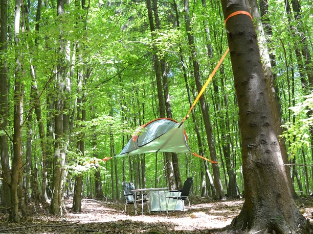 Baumzelt im Wald