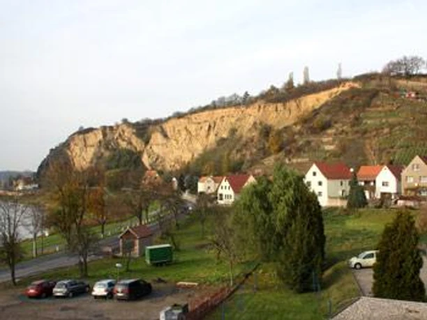 Dom2