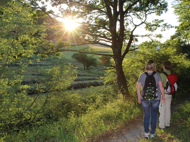 Unterwegs auf dem Medebacher Bergweg