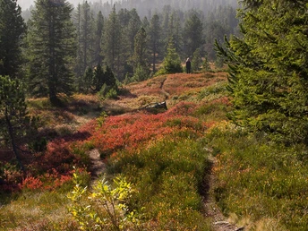 Farbiges Naturschutzgebiet Haglere
