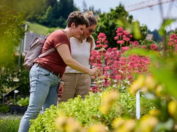 Kräutergarten Escholzmatt