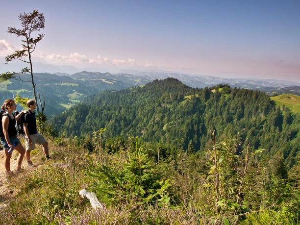 Ausblick auf die Entlebucher Hügellandschaft