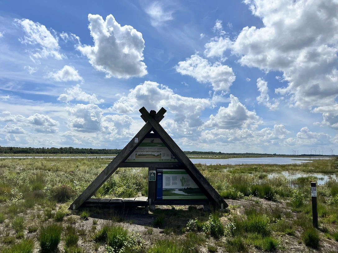 Blick ins Provinzialmoor, Naturschutzgebiet in Twist ©Emsland Tourismus GmbH (1).JPEG Dreieckige Infotafel aus Holz im Moorgebiet mit Wasserflächen, Wolkenhimmel und weiter Landschaft.