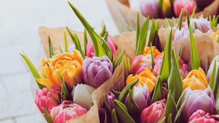 Juhls Blomster - kreditér Canva GDK-billeder 1024x576