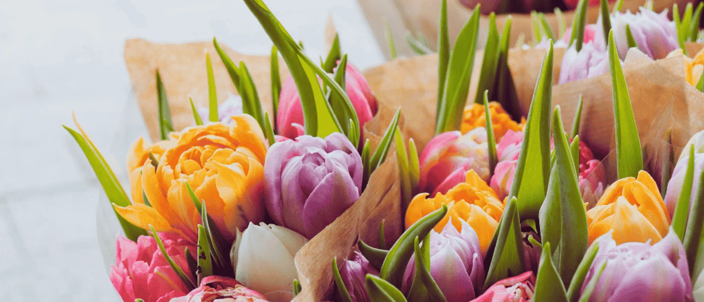 Juhls Blomster - kreditér Canva GDK-billeder 1024x576