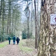 Geester_Speichersee_Weg_durch_den_Forst.JPEG Drei Personen gehen auf einem Waldweg, vorn am Baum ein Wegzeichen mit Pfeil nach oben.
