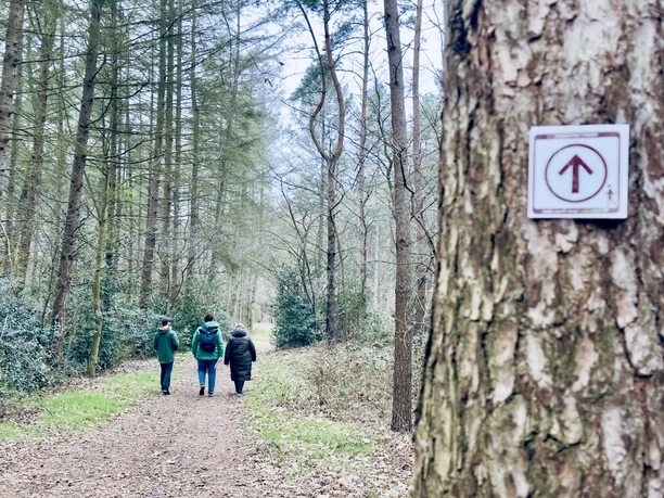 Geester_Speichersee_Weg_durch_den_Forst.JPEG Drei Personen gehen auf einem Waldweg, vorn am Baum ein Wegzeichen mit Pfeil nach oben.