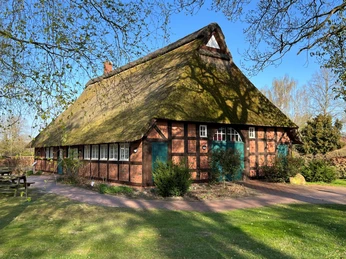 Haus auf der Wurth Ein traditionelles Fachwerkhaus mit Reetdach inmitten einer grünen, von Bäumen umgebenen Umgebung.