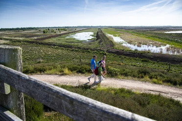 Dalum-Wietmarscher Moor ©TMN GmbH, Sabine Braun Fotografie-114.jpg Drei Wandernde gehen auf einem sonnigen Pfad durch die weite Moorlandschaft mit Wasserflächen.