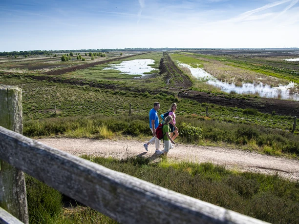 Dalum-Wietmarscher Moor ©TMN GmbH, Sabine Braun Fotografie-114.jpg Drei Wandernde gehen auf einem sonnigen Pfad durch die weite Moorlandschaft mit Wasserflächen.