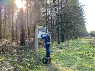 Löwenzahnentdeckertouren Fullener Wald, Meppen ©Naturpark Bourtanger Moor (1).JPEG Kind liest Informationstafel im sonnendurchfluteten Wald des Aktiv-Pfads Fullener Wald in Meppen