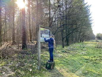 Löwenzahnentdeckertouren Fullener Wald, Meppen ©Naturpark Bourtanger Moor (1).JPEG